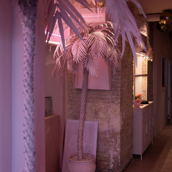 Diseño sin título - 2025-11-17T183931.095